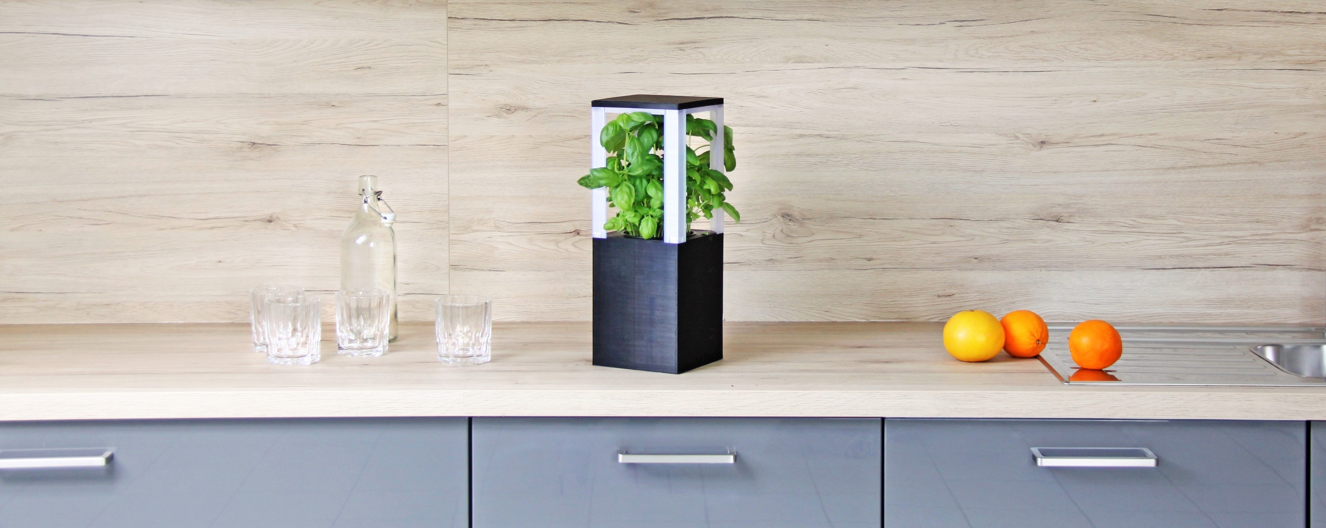 Harvey im Kücheneinsatz